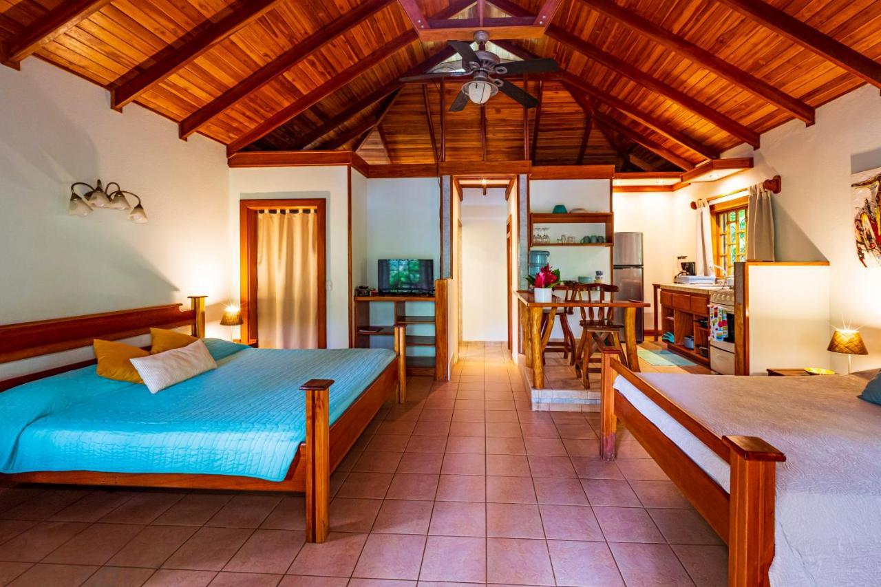 El Nido Jungle Lodge Puerto Viejo de Talamanca المظهر الخارجي الصورة