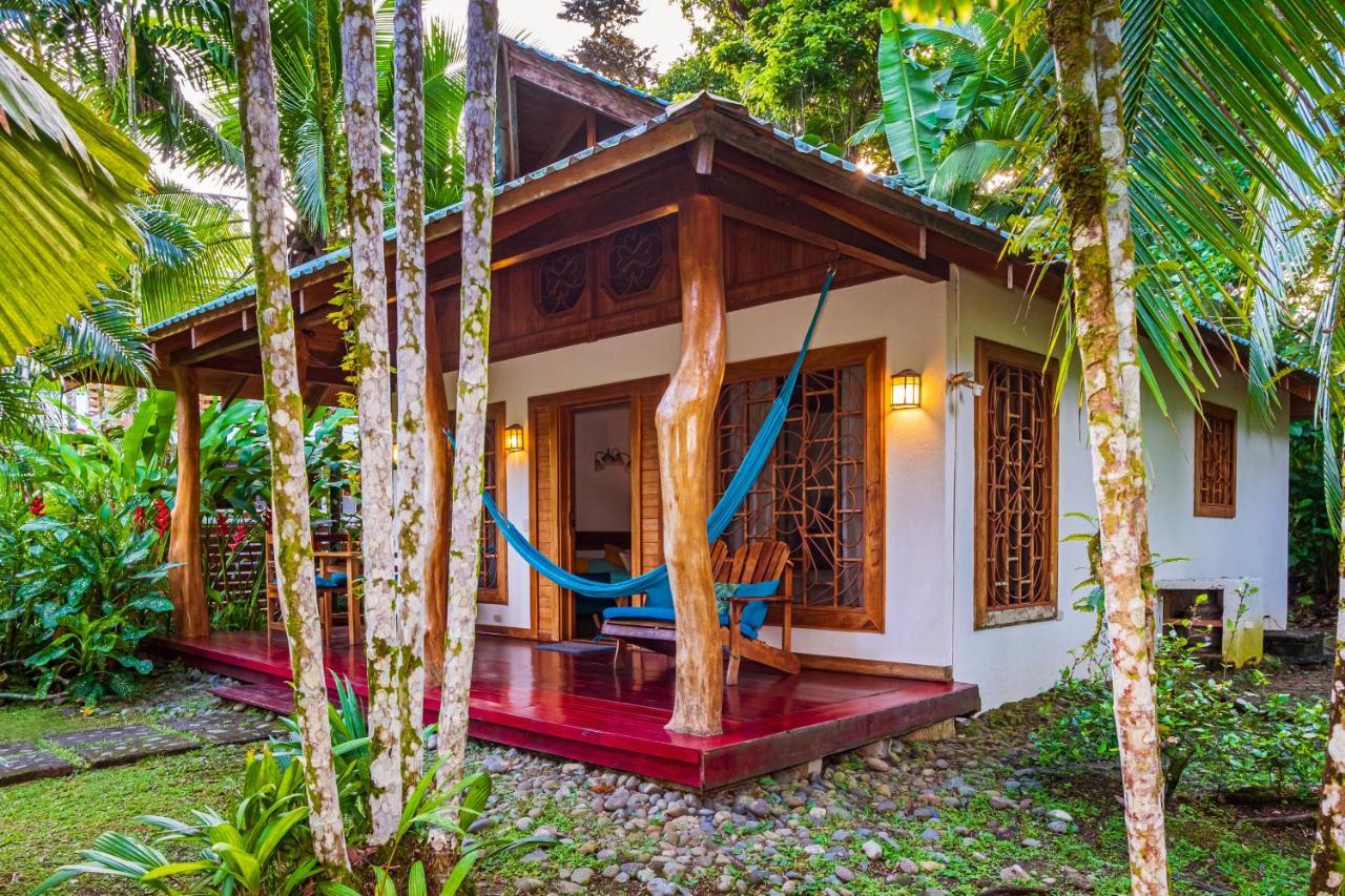 El Nido Jungle Lodge Puerto Viejo de Talamanca المظهر الخارجي الصورة