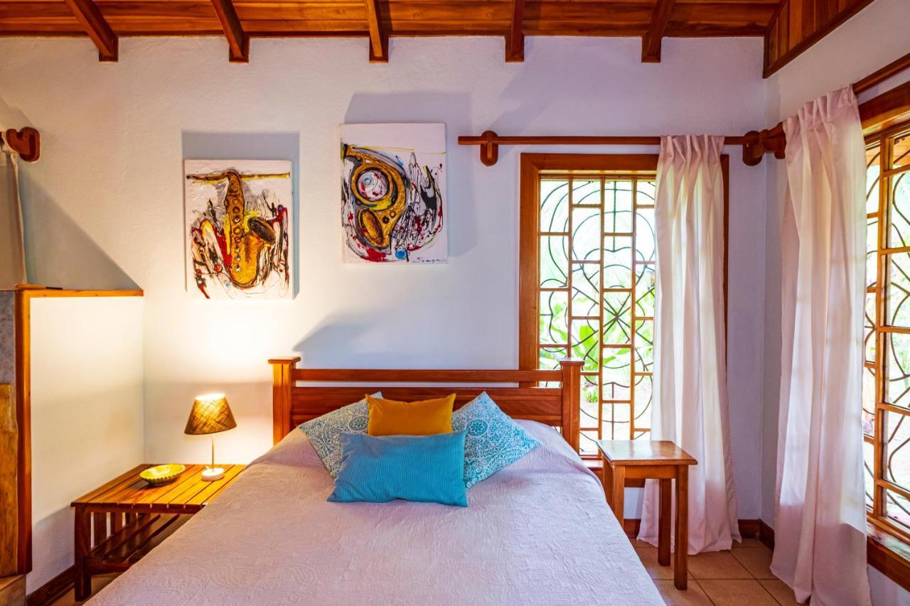El Nido Jungle Lodge Puerto Viejo de Talamanca المظهر الخارجي الصورة