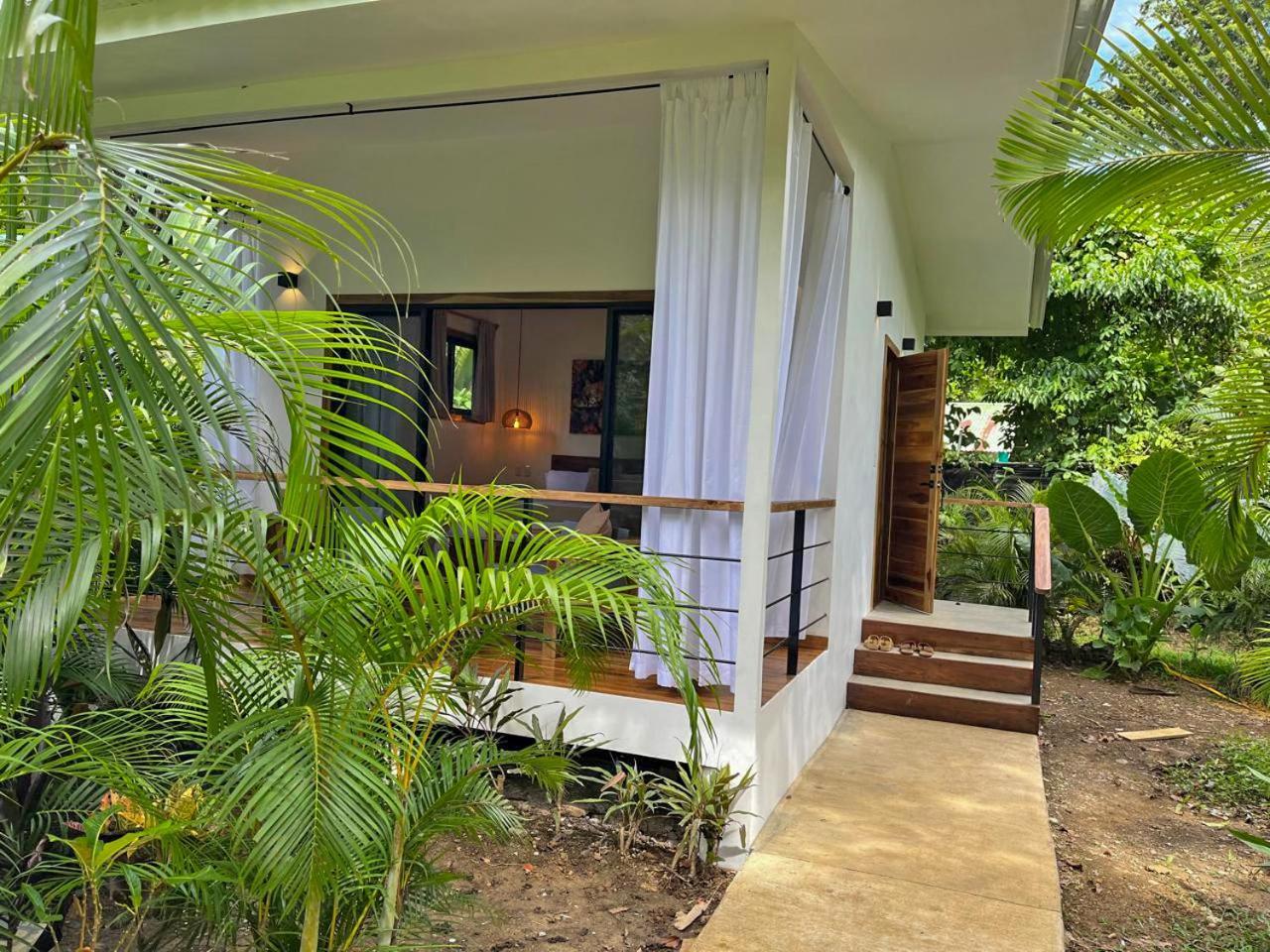 El Nido Jungle Lodge Puerto Viejo de Talamanca المظهر الخارجي الصورة