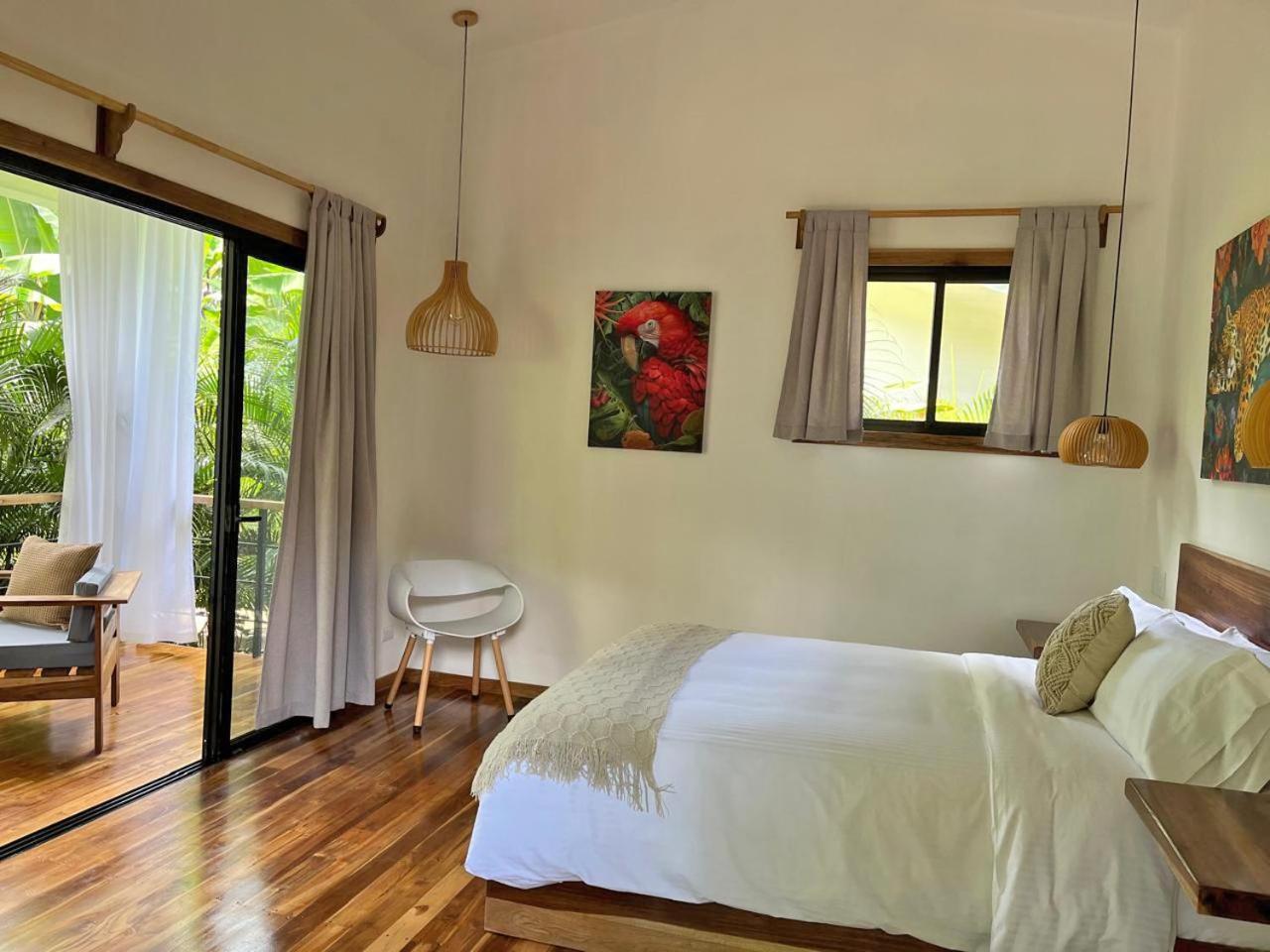 El Nido Jungle Lodge Puerto Viejo de Talamanca المظهر الخارجي الصورة