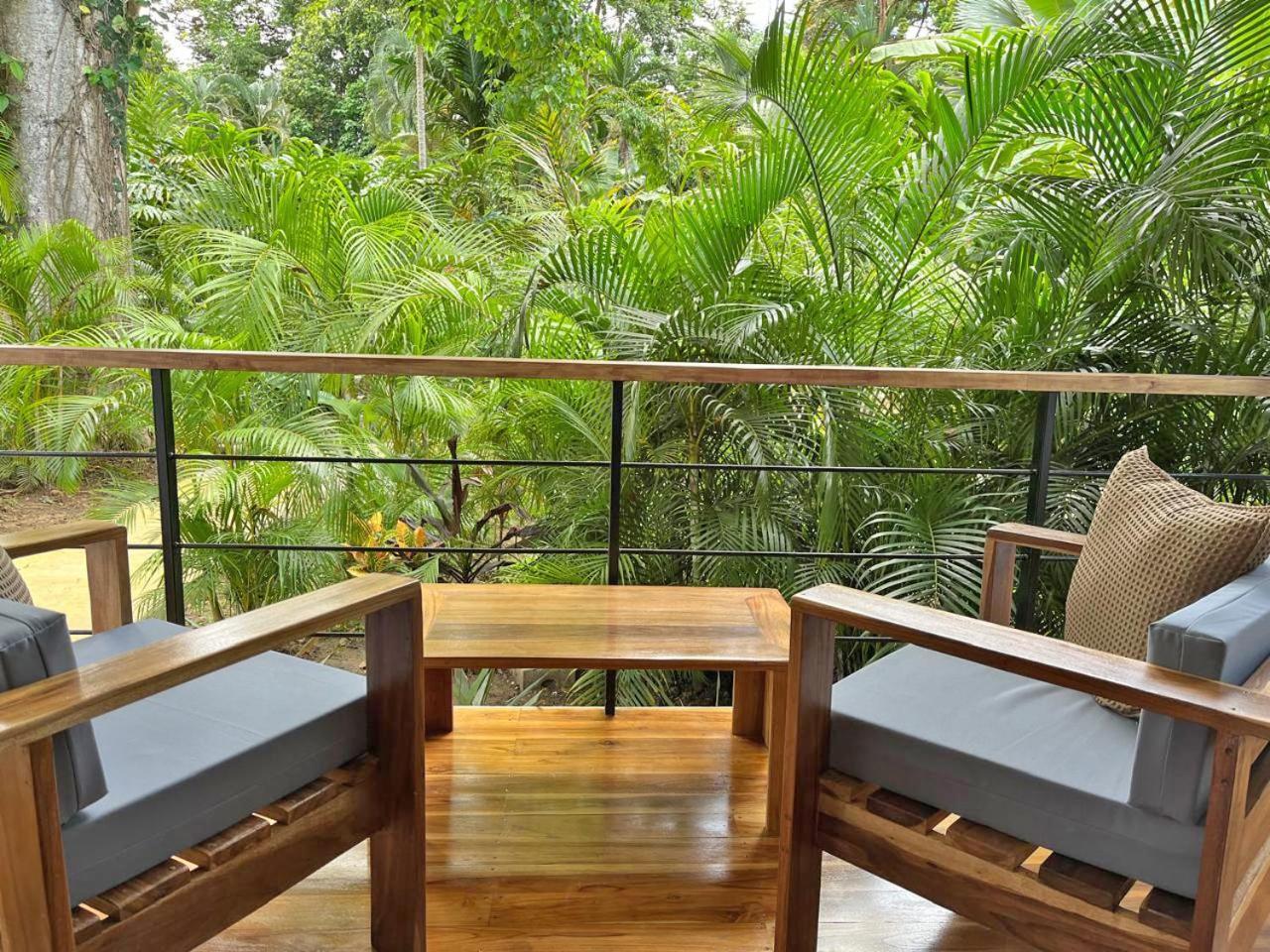 El Nido Jungle Lodge Puerto Viejo de Talamanca المظهر الخارجي الصورة