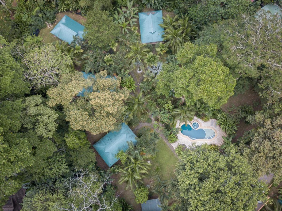 El Nido Jungle Lodge Puerto Viejo de Talamanca المظهر الخارجي الصورة