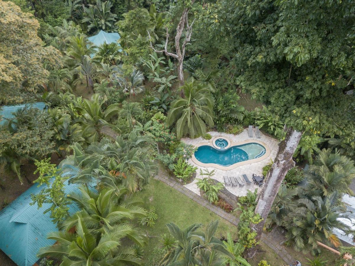 El Nido Jungle Lodge Puerto Viejo de Talamanca المظهر الخارجي الصورة