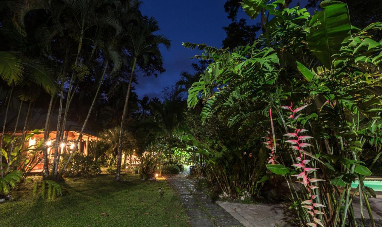 El Nido Jungle Lodge Puerto Viejo de Talamanca المظهر الخارجي الصورة