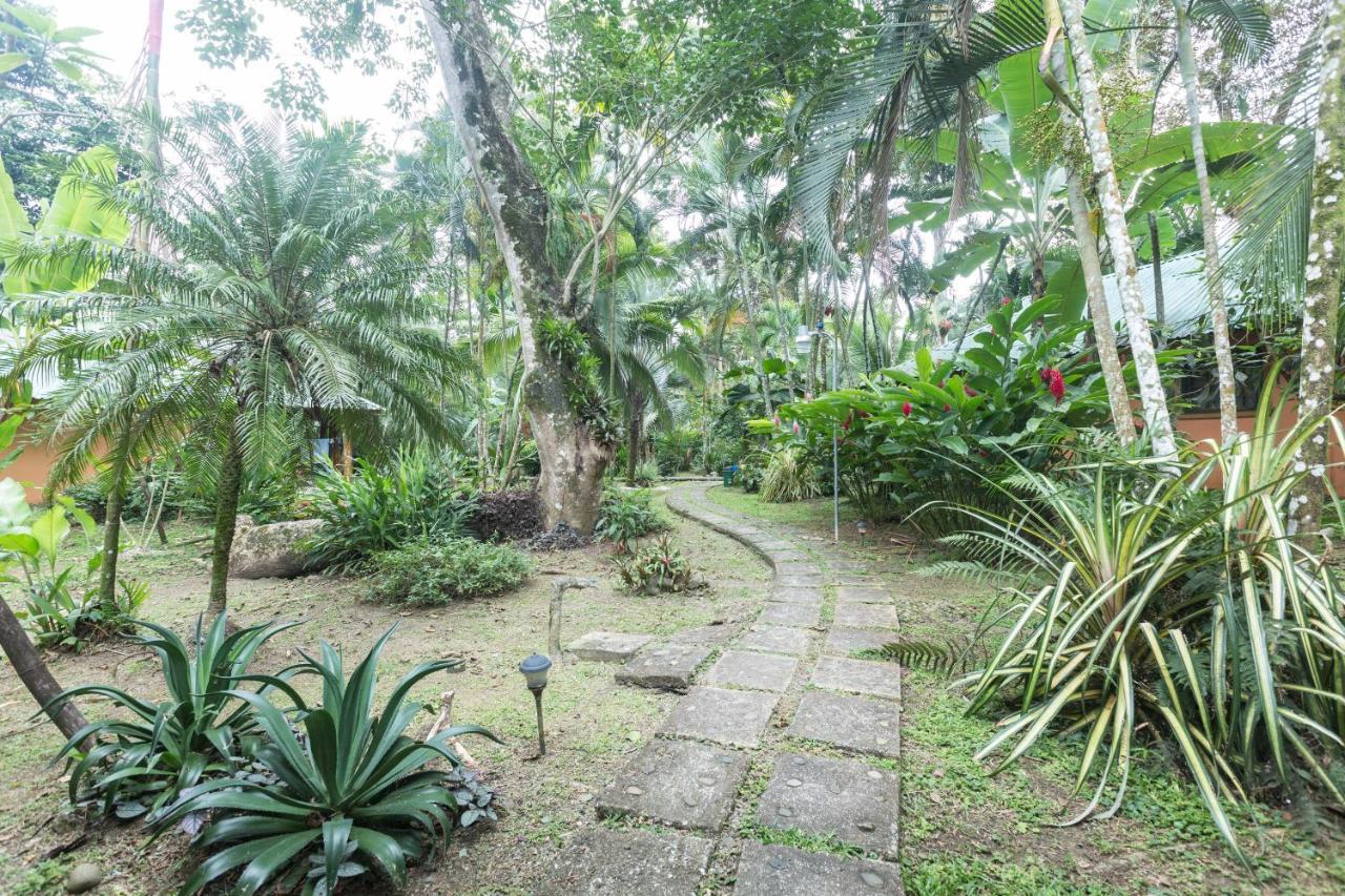 El Nido Jungle Lodge Puerto Viejo de Talamanca المظهر الخارجي الصورة