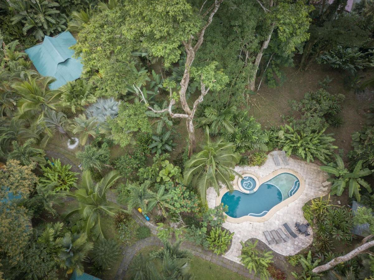 El Nido Jungle Lodge Puerto Viejo de Talamanca المظهر الخارجي الصورة