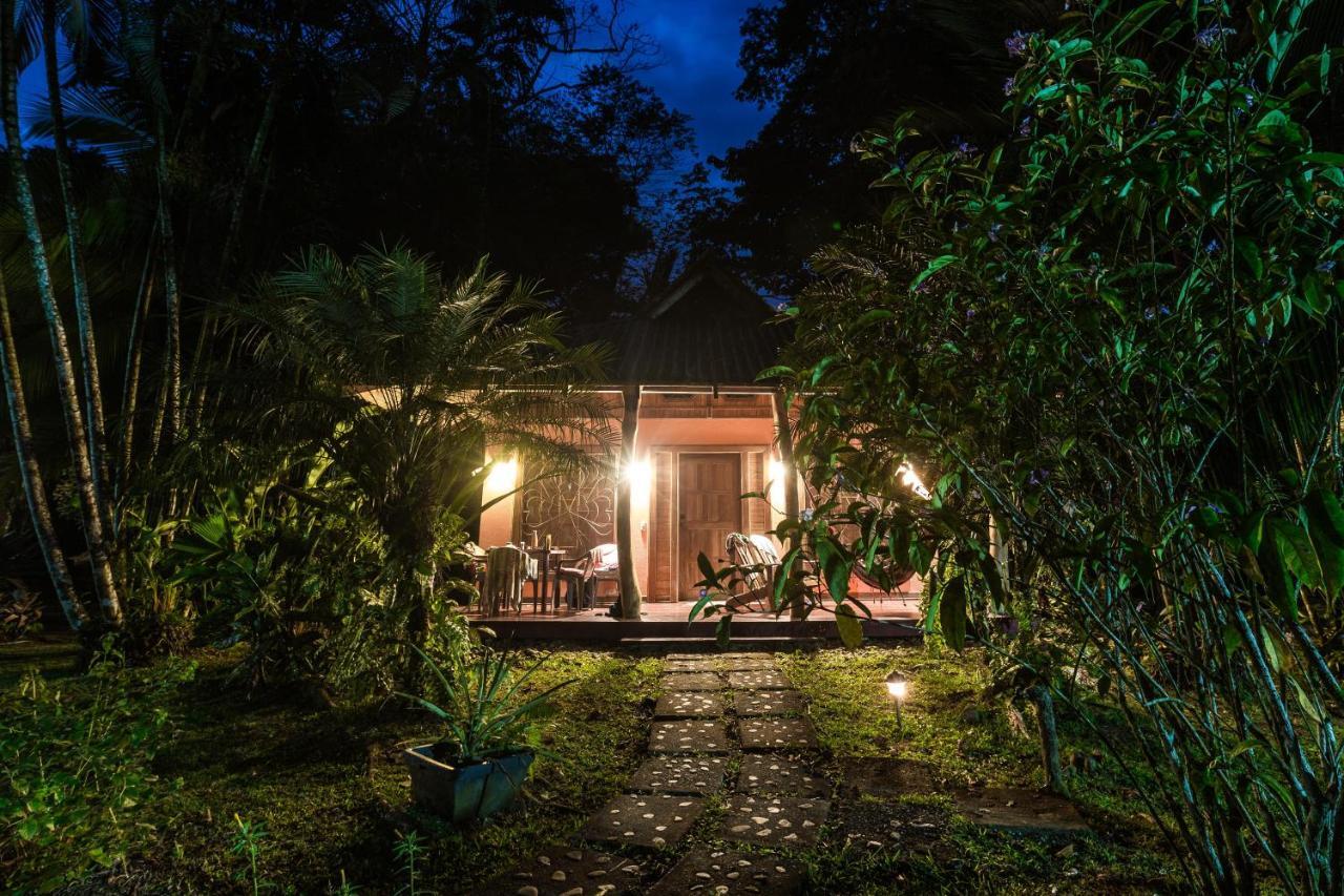 El Nido Jungle Lodge Puerto Viejo de Talamanca المظهر الخارجي الصورة